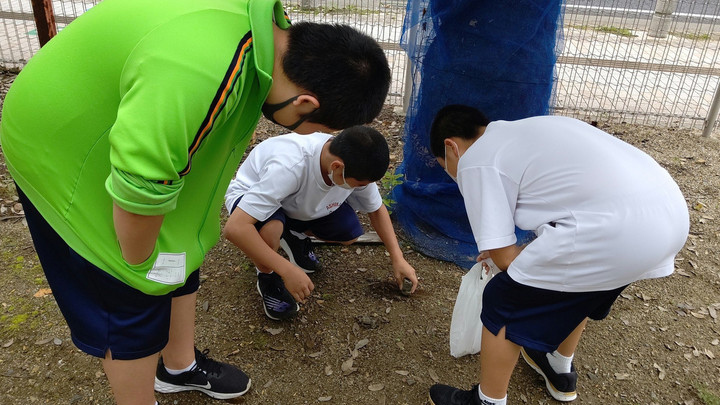 Horizon_0002_burst20220611100802517