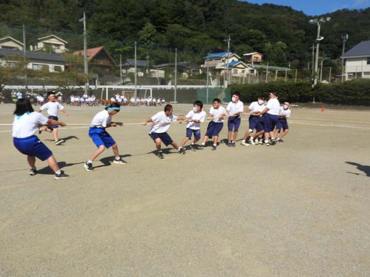 足利市立第一中学校 : 10/1（土）体育祭の様子③（三本松綱引き）