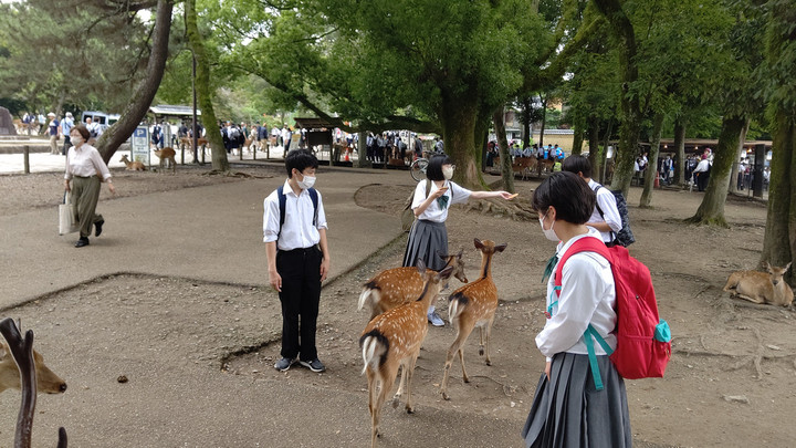 Horizon_0001_burst20230614131758326