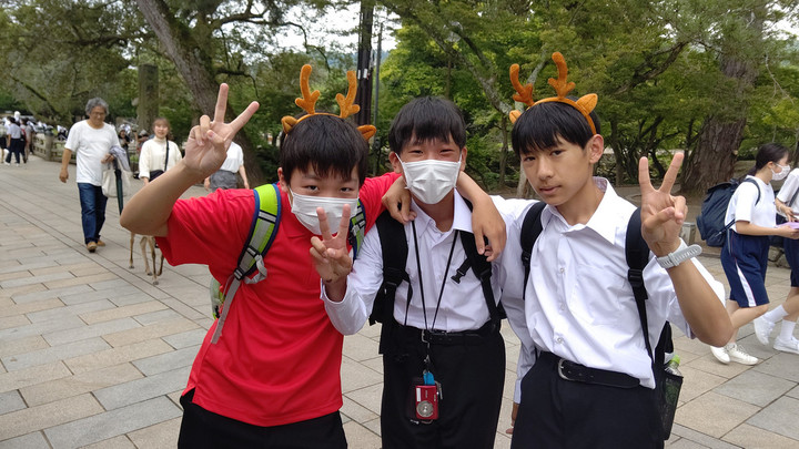 Tripart_0001_burst20230614131516831