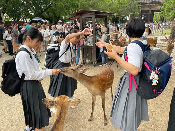 45a9e589f33647268731eea50d72f654