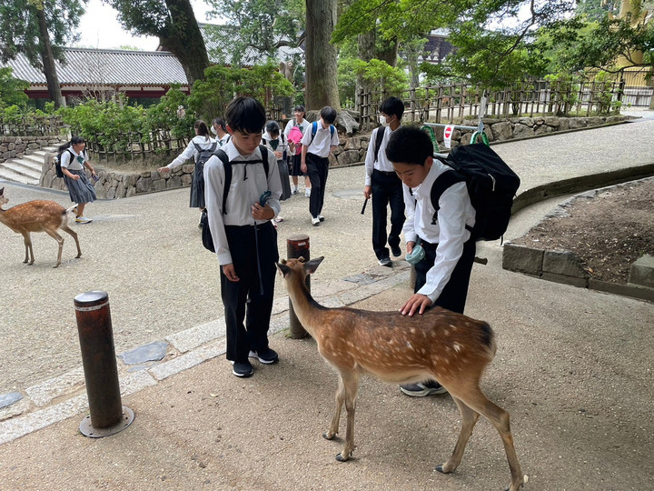 Ee5aa2e4b4be47cf9d22880478c502ac