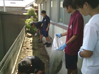 Dscf0082