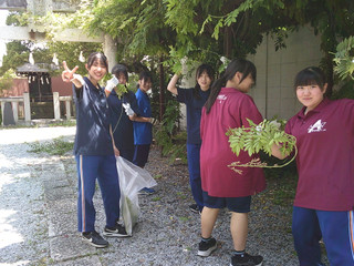 Dscf0087