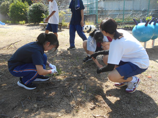 Dscn5940