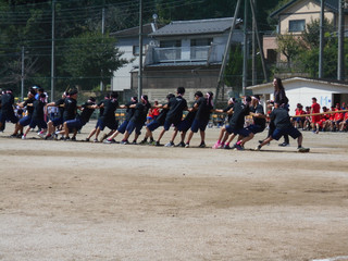 Dscn2517jpg